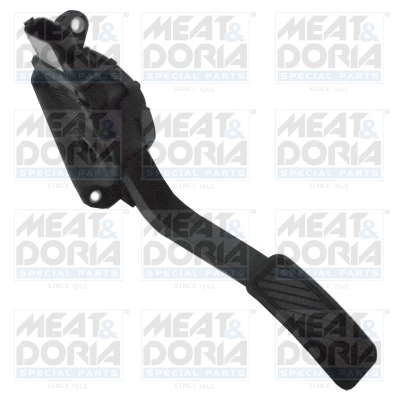 Accelerator Pedal Unit